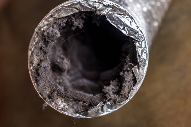 Best Home Air Vent Cleaning  in Massanutten, VA