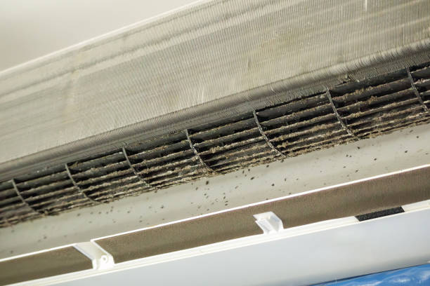 Best Air Duct Cleaning Near Me  in Massanutten, VA